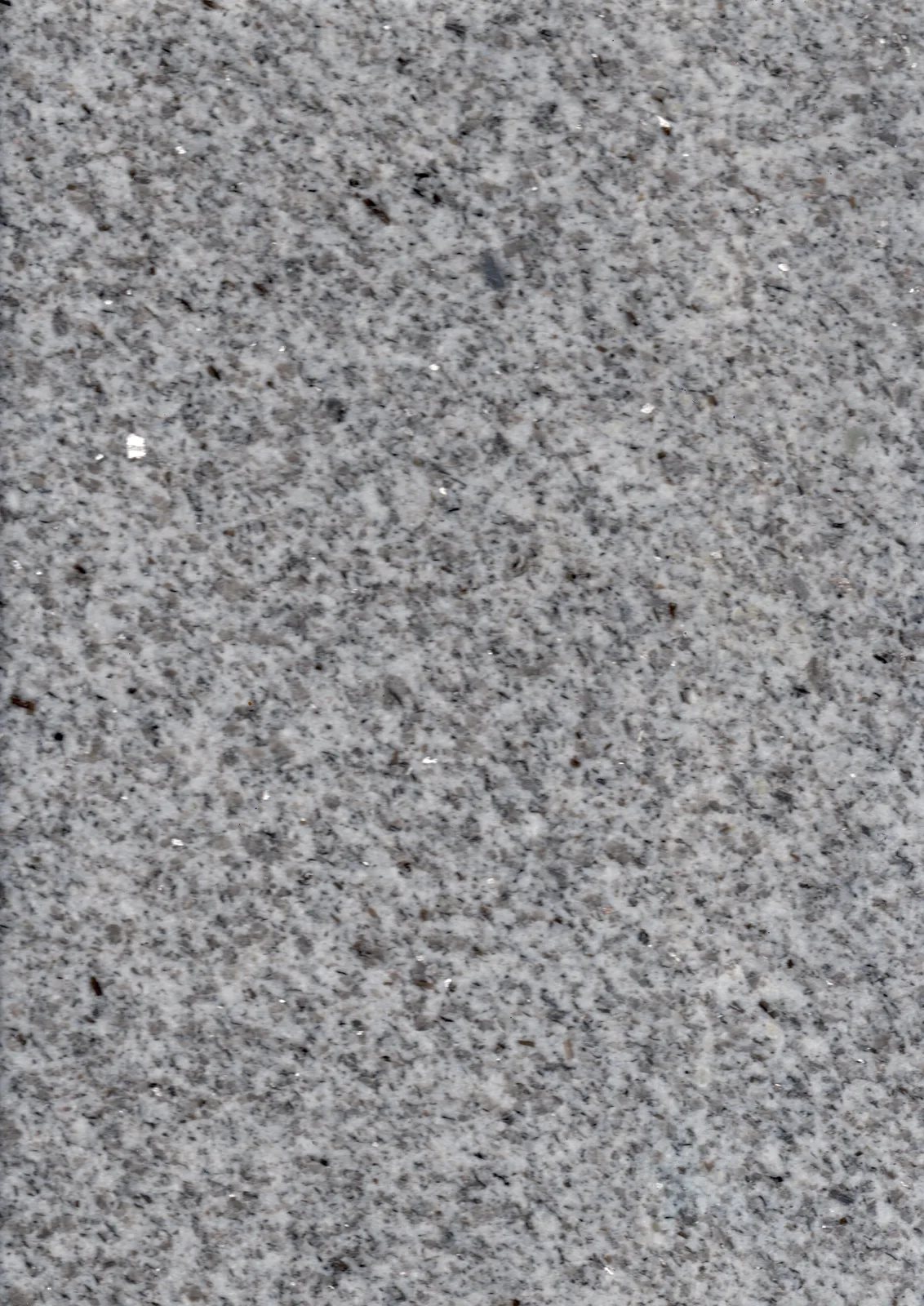Royal White (I) G603(I)